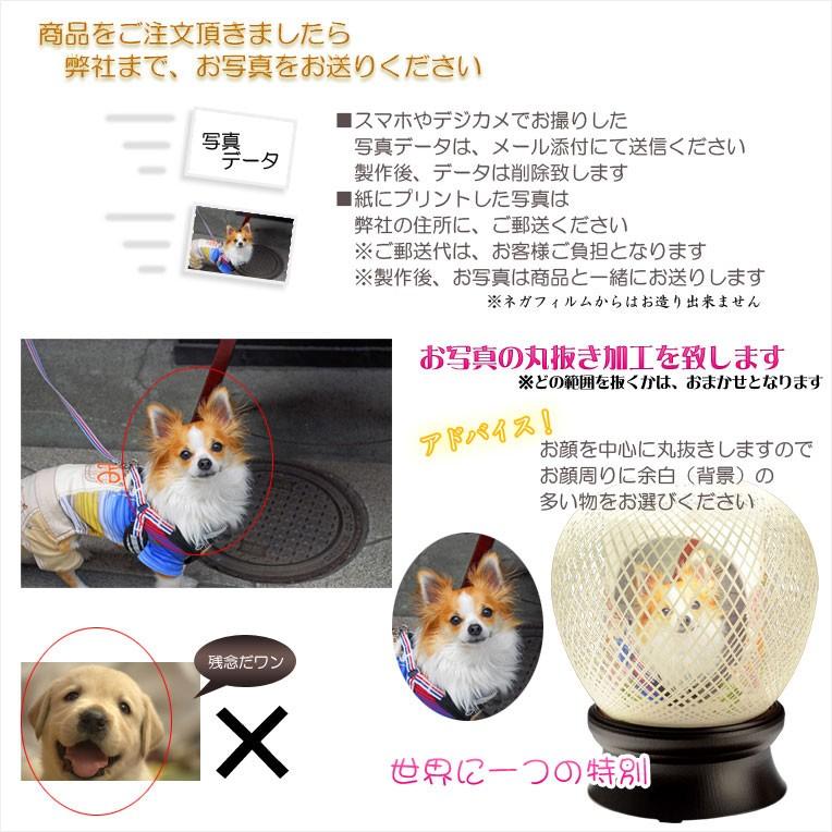 お盆用品【ペット用インテリアお盆提灯:花毬(はなまり)省エネ お盆用品【ペット用インテリアお盆提灯:花毬(はなまり)省エネ