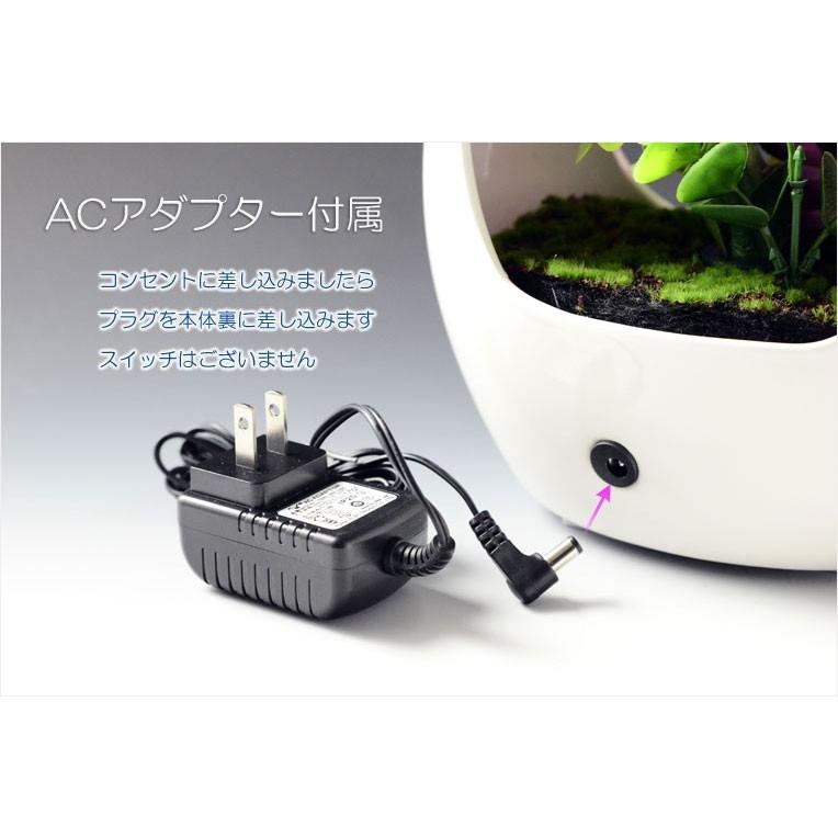 仏具・お盆飾り【光ファイバー仏花:テルミナポット 胡蝶蘭 仏具・お盆飾り【光ファイバー仏花:テルミナポット 胡蝶蘭