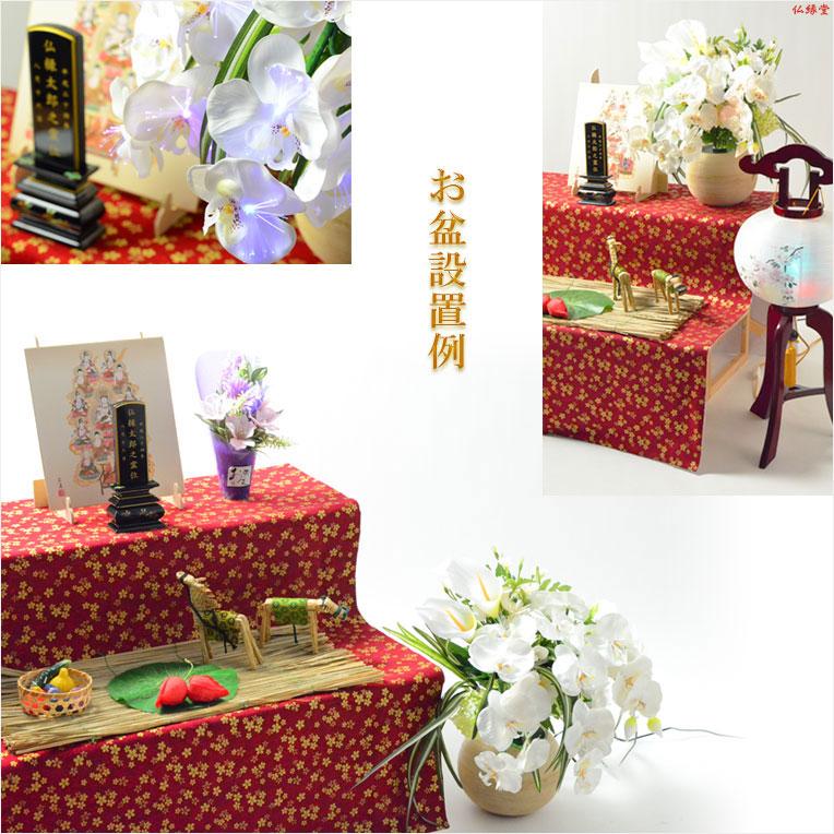 お盆飾り【LED光触媒・光ファイバー仏花:テルミナ陶器鉢 胡蝶蘭 お盆飾り【LED光触媒・光ファイバー仏花:テルミナ陶器鉢 胡蝶蘭