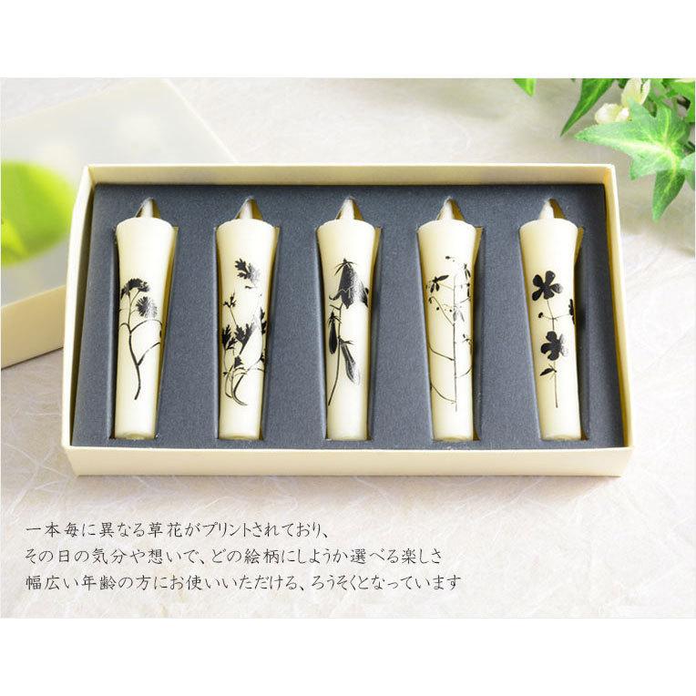 絵ローソク【和ろうそく：庭彩光（にわさいこう）影草花】仏壇用仏具
