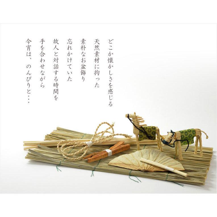 お盆飾り【天然蓮の葉入り・真菰（まこも）7点セット】お盆用品 新盆