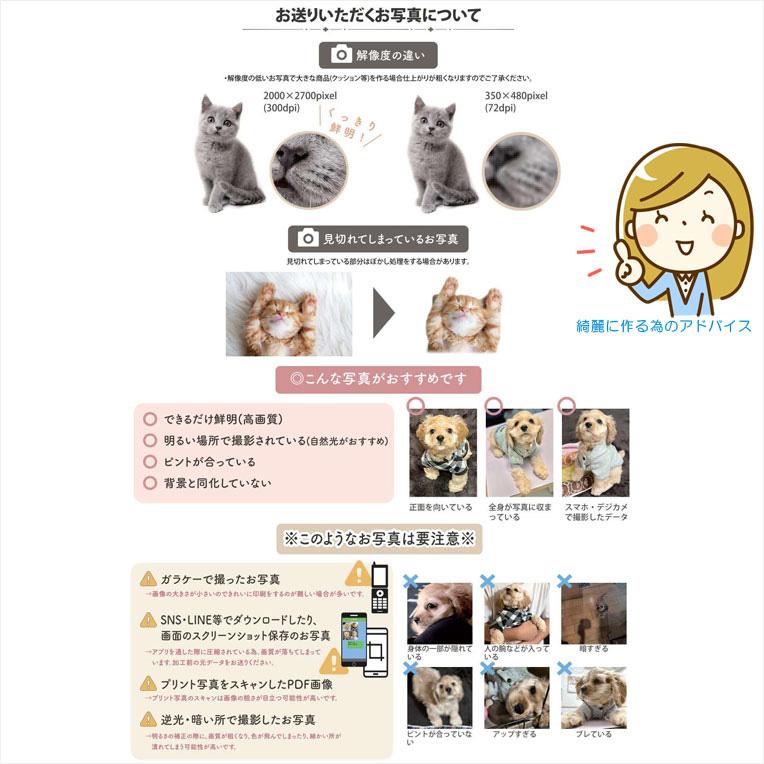 ペット仏具【ペット メモリアルクッション:おかえり サイズ3L ペット仏具【ペット メモリアルクッション:おかえり サイズ3L