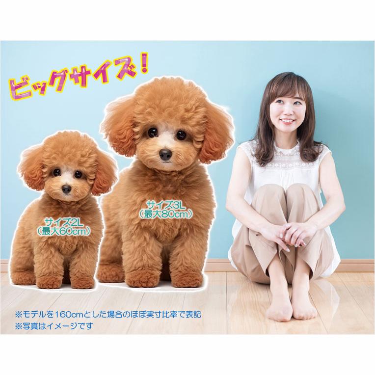 ペット仏具【ペット メモリアルクッション:おかえり サイズ3L ペット仏具【ペット メモリアルクッション:おかえり サイズ3L