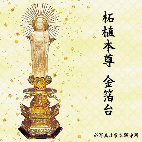 仏像　阿弥陀如来像　浄土真宗西本願寺派用　柘植本尊 金箔台 ６角台 唐草光背　３寸