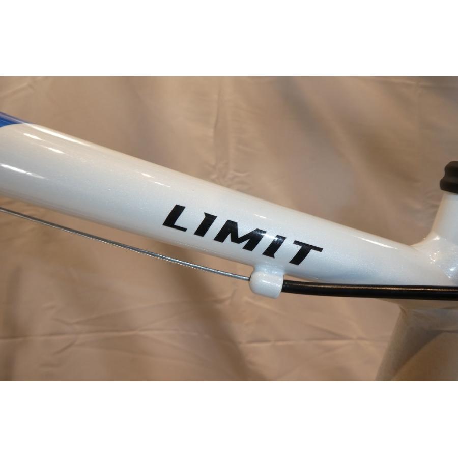 未使用品】 NESTO 「ネスト」 LIMIT2 2021年モデル 440サイズ カモ 