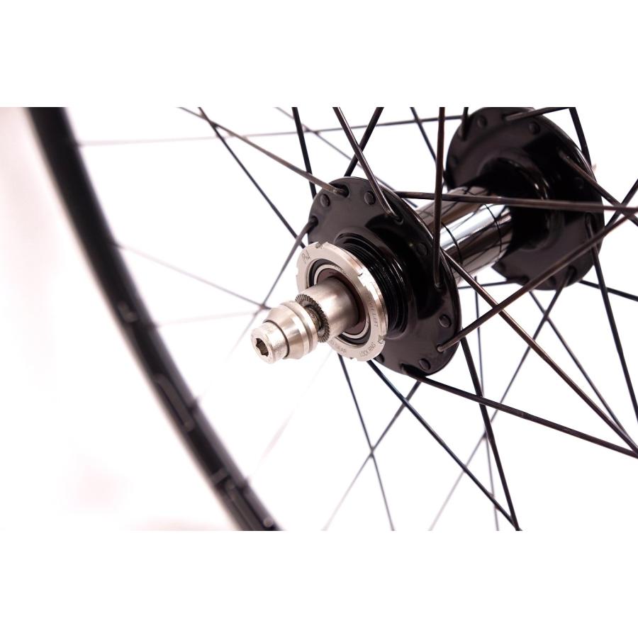 HED. BELGIUM × PHILWOOD HUB
