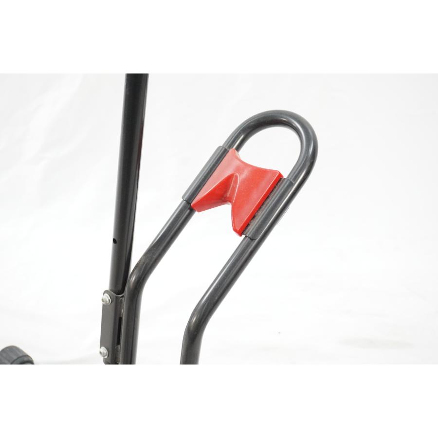 MINOURA 「ミノウラ」 DS-2100 TANCHO ESSE BIKE STAND スタンド 