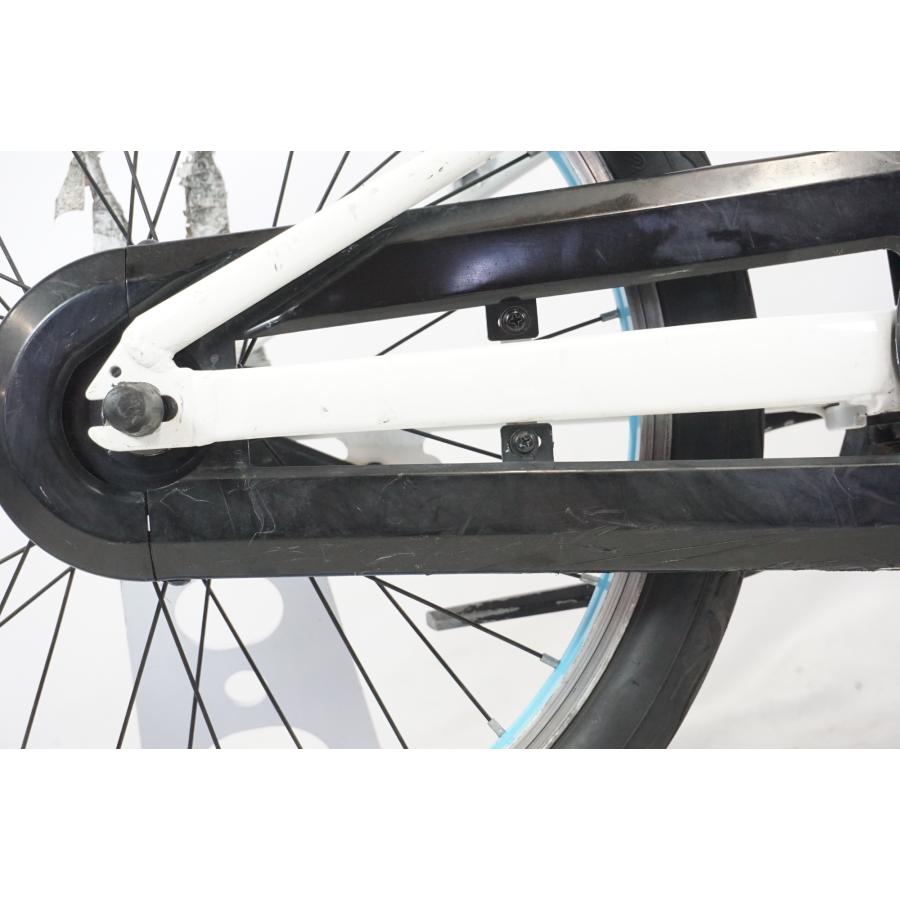 TREK 「トレック」 PRECALIBER 20 2020-2022年モデル キッズバイク