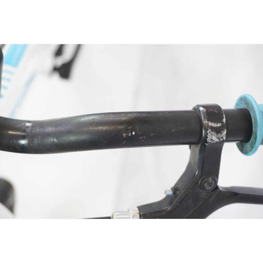TREK 「トレック」 PRECALIBER 20 2020-2022年モデル キッズバイク