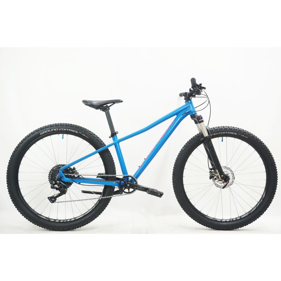 SPECIALIZED 「スペシャライズド」 PITCH EXPERT 1X 2020年
