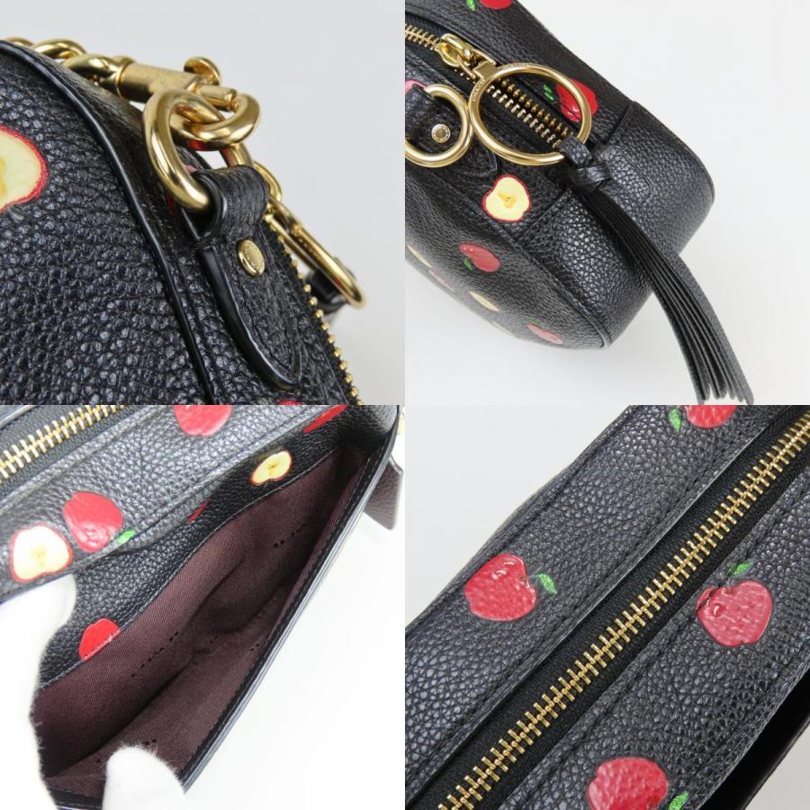 COACH（コーチ） 中古 ショルダーバッグ カメラバッグ 76055 レザー 