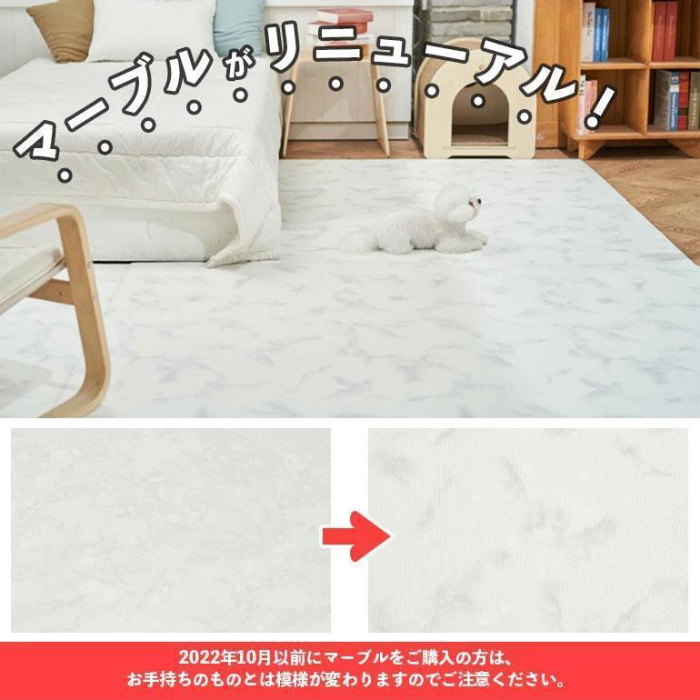 ペットマット 140×170×0.6cm 犬 猫 防水 マット ペットシート pvc 滑り止め 滑らない 床暖房 フロアマット クッション 厚手 防音 消臭 Caraz (petW140L170) 