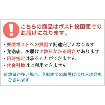 メダリスト2 (ポスト投函便)   【 送料無料 コンタクトレンズ メダリストII ボシュロム 2week 2週間使い捨て 6枚入 】 | Medalist | 03