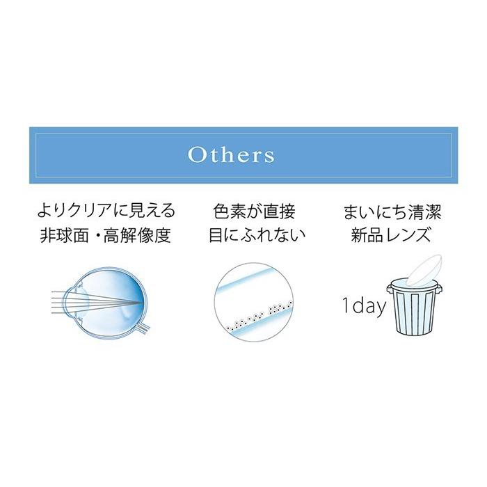 乱視用カラコン ワンデーアイレ リアルuv トーリック 10枚入 カラコン 乱視用 1day コンタクトレンズ アイレ Ri T02 小田急みんなのコンタクト 通販 Yahoo ショッピング