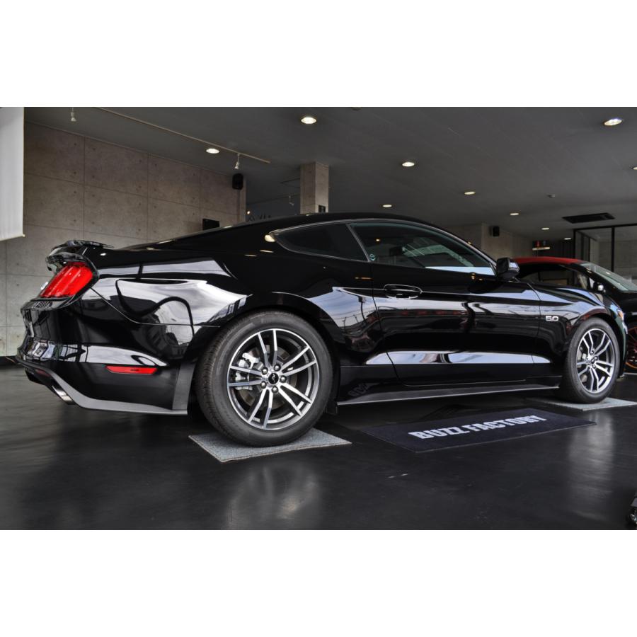 【アウトレット】マスタングV6車　rana　ローダウンスプリング　ローサス　ダウンサス | ARAGOSTA | 01