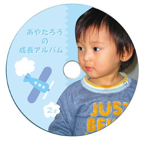 サンワサプライ インクジェットフォト光沢DVD/CDラベル 内径17mm フォト光沢 LB-CDR013N｜buzzfurniture