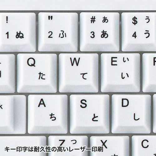 サンワサプライ PS/2キーボード ホワイト SKB-L1N｜buzzfurniture｜05