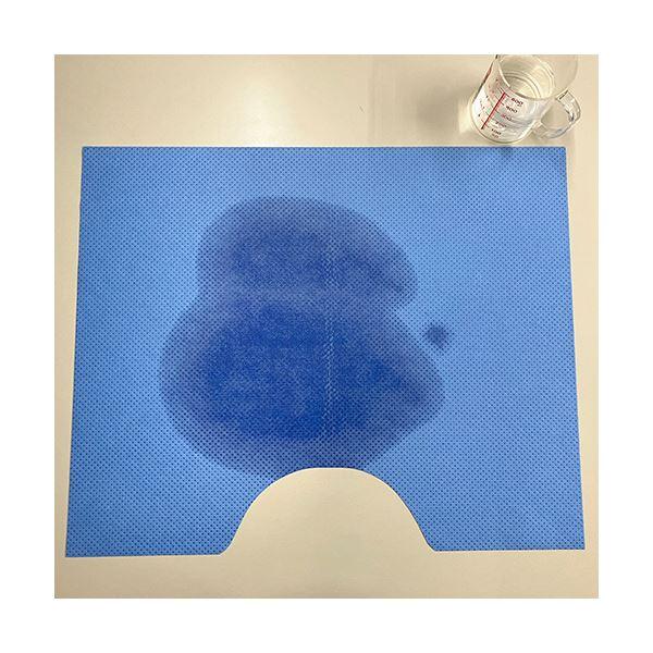 カネモ商事 使い捨てトイレマット約480×600mm 青 1ケース(100枚)_2