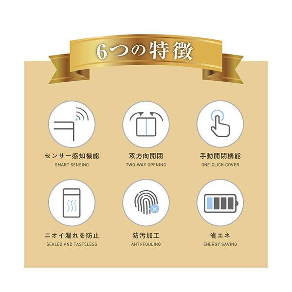 オーロラ 全自動ゴミ箱 両開きタイプ 50L ステンレス TS50 1台_2