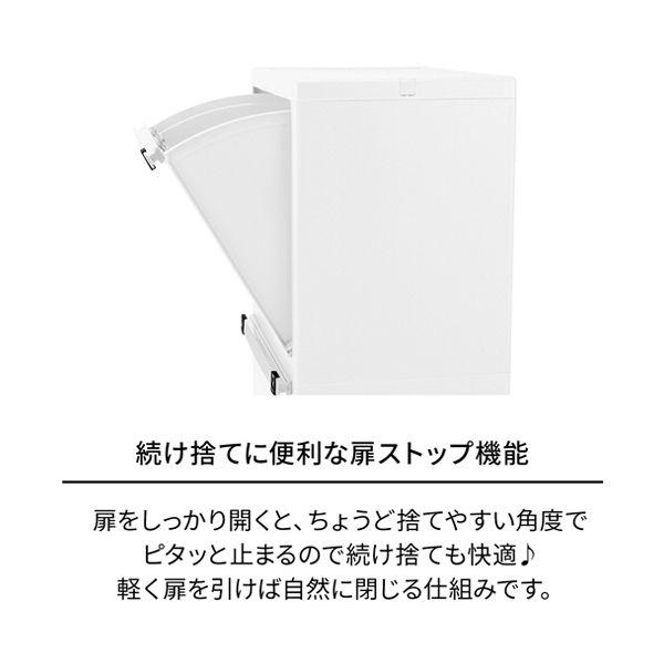 天馬 ホワイトラッシュ 多段分別 45L WR-353 1個の画像
