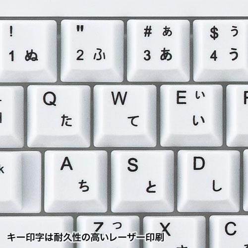 サンワサプライ PS/2キーボード ホワイト SKB-L1N｜buzzhobby｜05