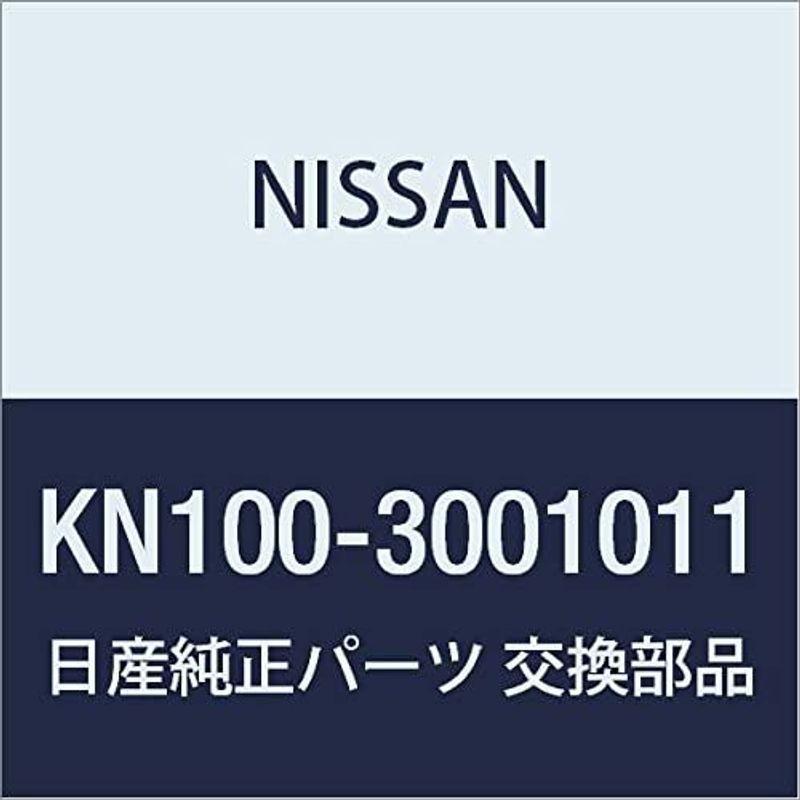 NISSAN(ニッサン) 日産純正 No.2500 DOT3 ブレーキフルード 1L KN100-3001011  :20220211184553-00919:BuzzOne - 通販 - Yahoo!ショッピング