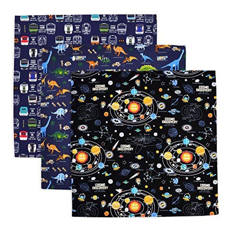 ランチクロス 給食ナフキン 柄違い3枚セット スタンダード 恐竜 惑星 電車セット 3枚セット N Soruquwjvw 惣菜 料理 Editorialdismes Com