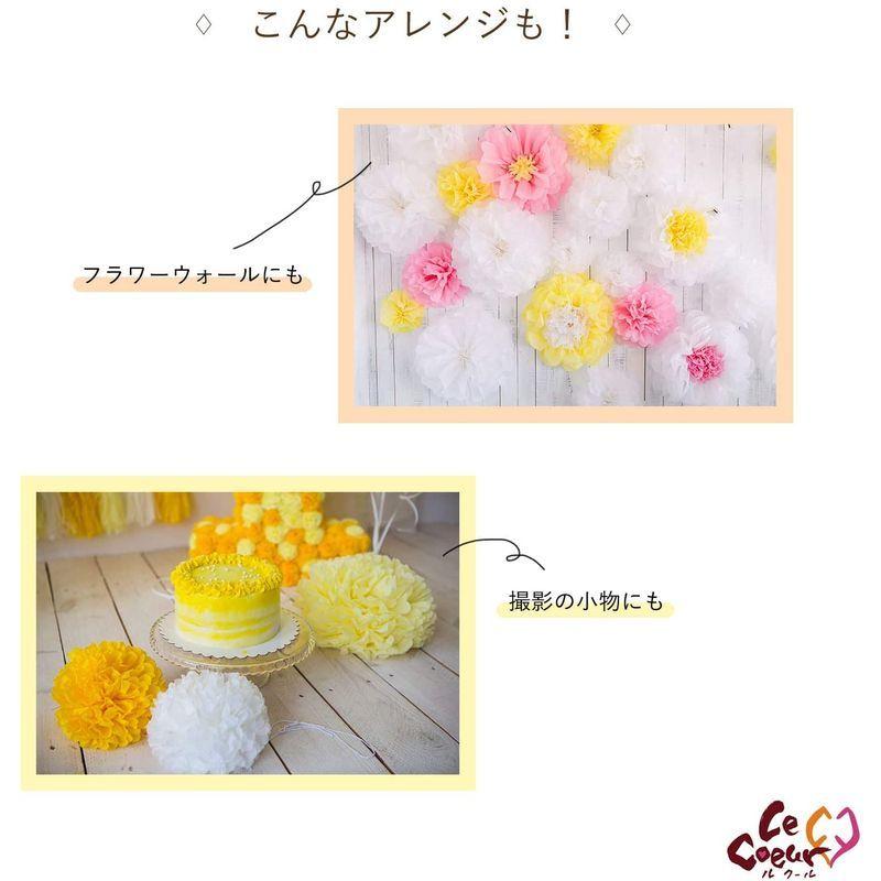 お花紙 ペーパー フラワー ポンポン 紙 １２個 誕生日 結婚式 卒業式 飾り付け Bigサイズ 花紙 ペーパーフラワー おはながみ 簡 Buzzone 通販 Yahoo ショッピング