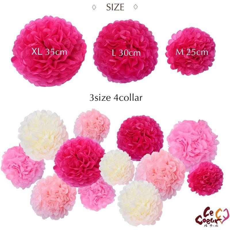 お花紙 ペーパー フラワー ポンポン 紙 １２個 誕生日 結婚式 卒業式 飾り付け Bigサイズ 花紙 ペーパーフラワー おはながみ 簡 Buzzone 通販 Yahoo ショッピング