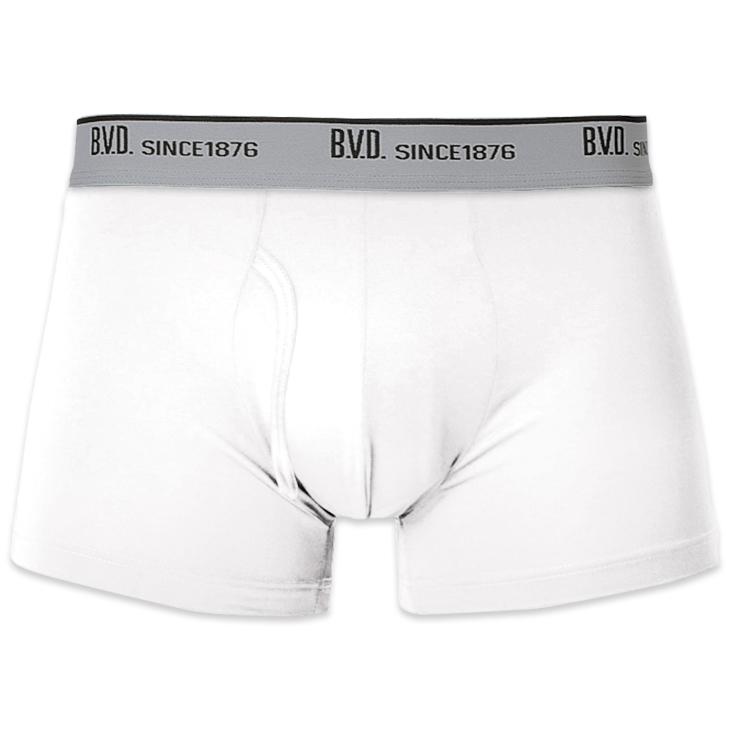 ボクサーパンツ (前開き) BVD ライトフィットGR550 メンズ パンツ 下着 アンダーウェア 吸水速乾 ムレ ストレッチ bvd 超PayPay祭 | B.V.D | 21