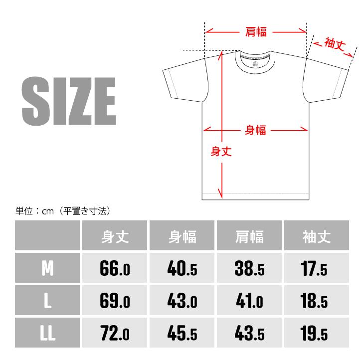 BVD メリノウール WOOL WARM  クルーネック長袖シャツ メンズ あったか防寒インナー 保温 吸放湿 ストレッチ 男性 アンダーウェア インナーウェア 下着 | B.V.D | 08