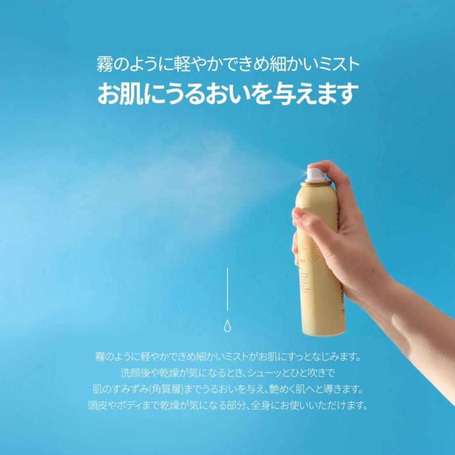 CNP Laboratory 【お買得セット】CNP プロP ミスト 100mL 3本セット 