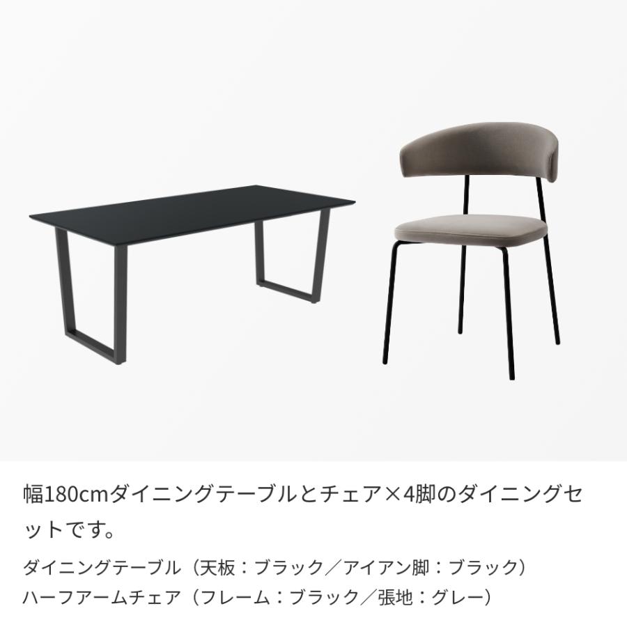 ダイニングテーブルセット Case009 幅180cm 椅子 4脚セット ダイニングセット 長方形 4人掛け チェア モダン マット アイアン脚  パモウナ AY FENIXの画像
