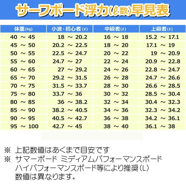 DHD サーフボード 3DV EPS モデル 5'9 DHD サーフボード 3DV EPS モデル 5'9
