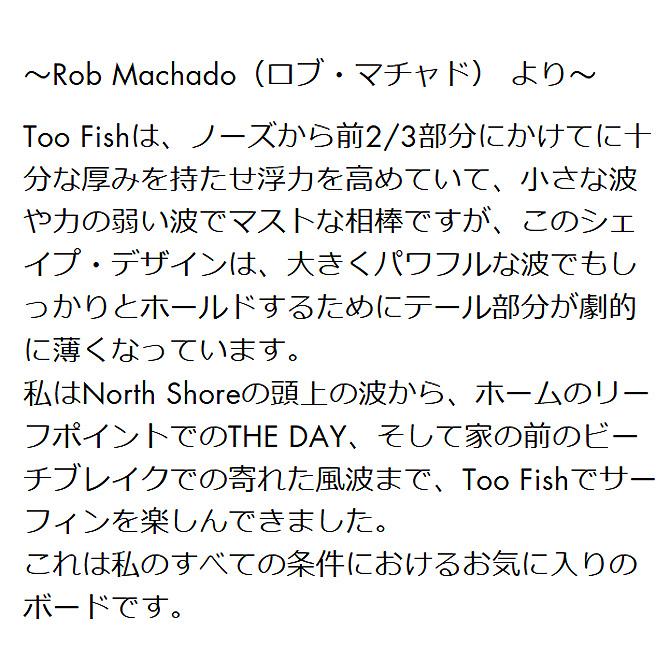 FIREWIRE ファイヤーワイヤー サーフボード トゥー フィッシュ FIREWIRE ファイヤーワイヤー サーフボード トゥー フィッシュ