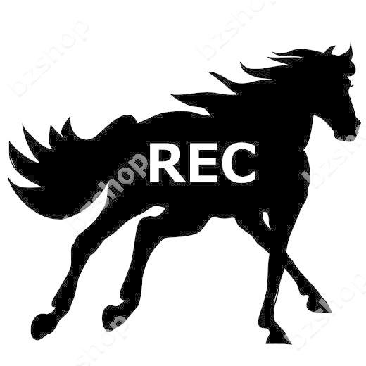 馬 Rec 録画 ステッカー 車 窓 ガラス 用 おしゃれ 店舗 オリジナル 給油口 名入れ 装飾 屋外 かっこいい Suv マーク バイク Bzshop Bzショップ 通販 Yahoo ショッピング