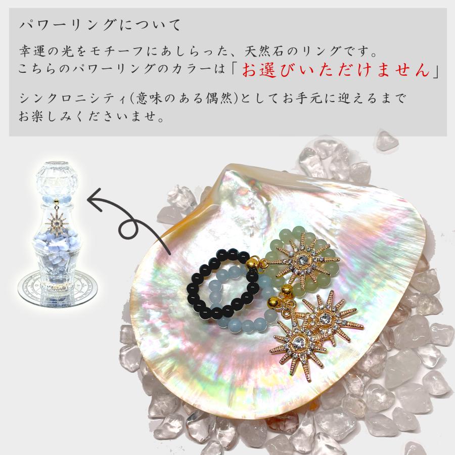 パワーリウム パワーストーン ボトル パワーポット 浄化 天然石 パワーリウム パワーストーン ボトル パワーポット 浄化 天然石