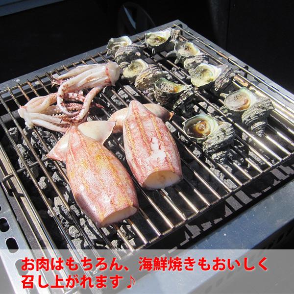 早い者勝ち引き取り限定！業務用炭火焼万能電気グリラー、電気網焼器 
