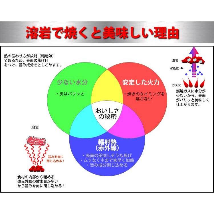 溶岩焼グリルCS403 業務用グリラー コンロ 下火式 ガス焚き : クリエ