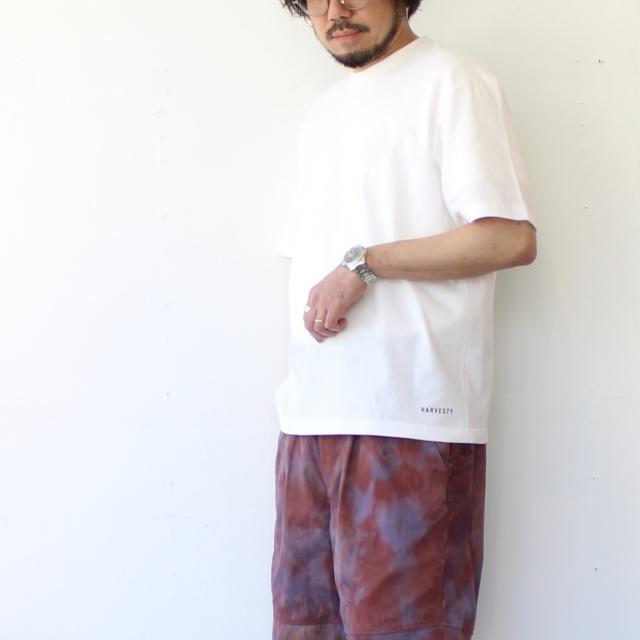 HARVESTY プリントTee ''BARGER SET'' | HARVESTY | 11