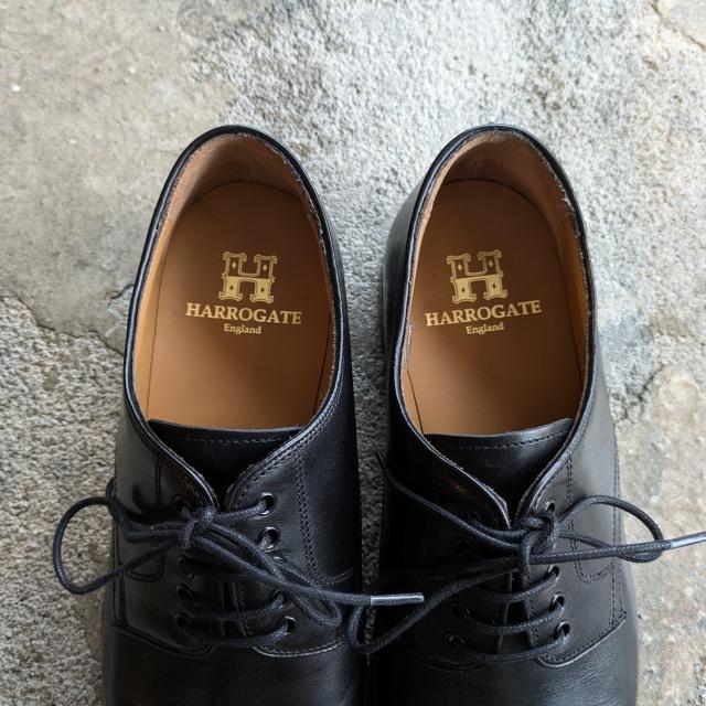 HARROGATE（ハロゲイト） プレーントゥシューズ ARCHWAY （Black） : C