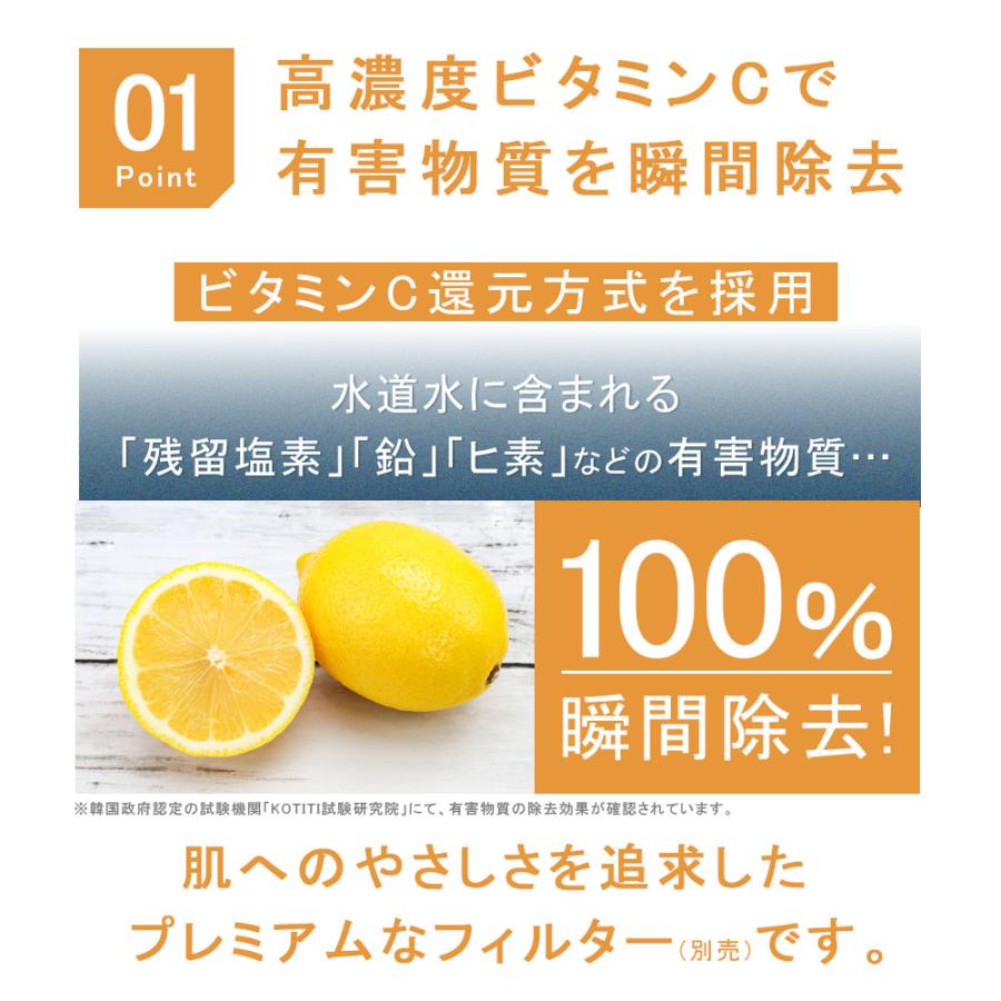 【新品】ハンドヘルド ビタミン C 韓国 シャワーヘッド フィルター　クリスマス 韓国発・H201シャワーフィルター【韓国 塩素除去 お風呂