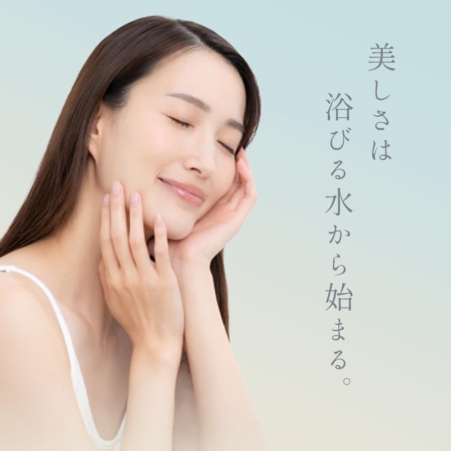 万博・韓国館展示 マルチフィルターシャワーヘッド セット ビタミンC アロマ 香り フィルター セット 塩素除去 節水シャワー 増圧 節水 誕生日 プレゼントの画像