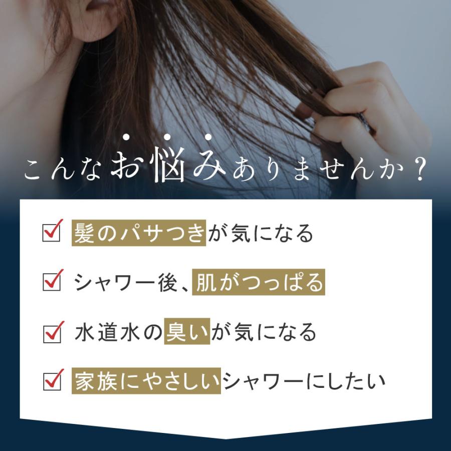 万博・韓国館展示 マルチフィルターシャワーヘッド セット ビタミンC アロマ 香り フィルター セット 塩素除去 節水シャワー 増圧 節水 誕生日 プレゼントの画像