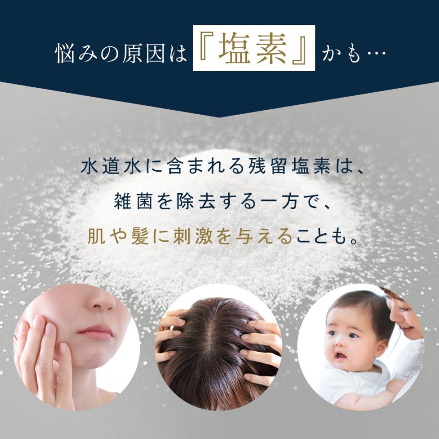 万博・韓国館展示 マルチフィルターシャワーヘッド セット ビタミンC アロマ 香り フィルター セット 塩素除去 節水シャワー 増圧 節水 誕生日 プレゼントの画像