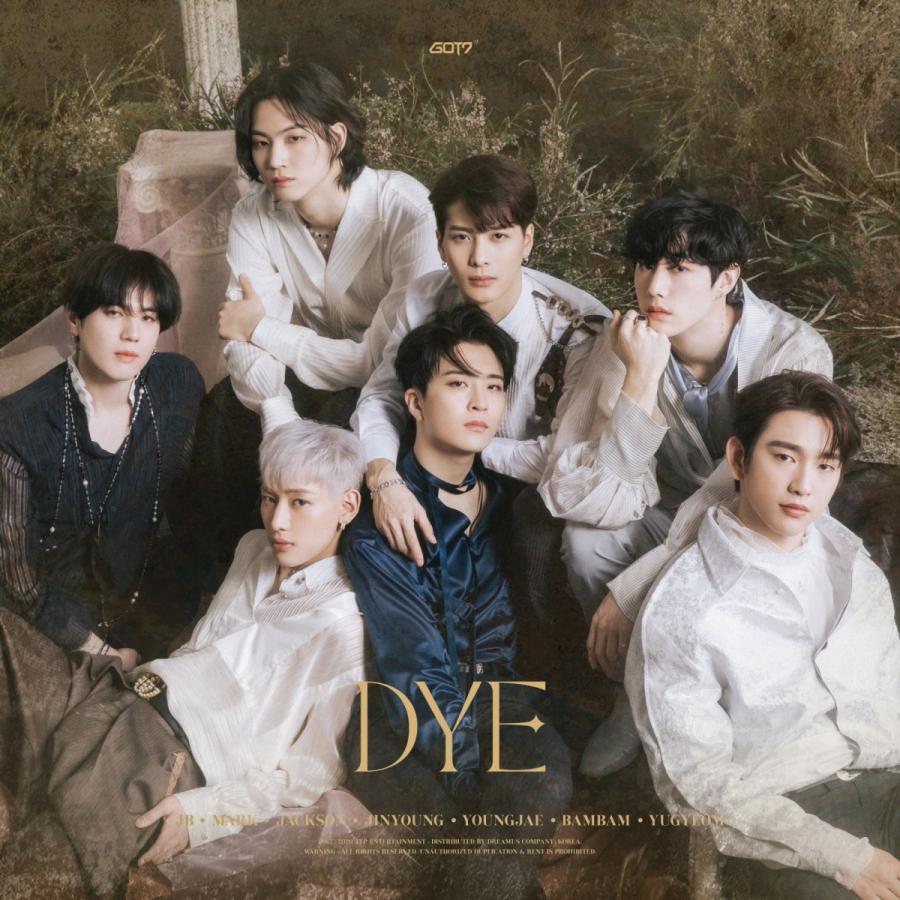 安心の日本国内発送 DYE VER 2. 先行予約 特典 満載 GOT7 アルバム cd