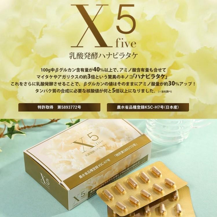 乳酸発酵ハナビラタケの商品一覧 通販 - Yahoo!ショッピング 乳酸発酵ハナビラタケの商品一覧 通販 - Yahoo!ショッピング