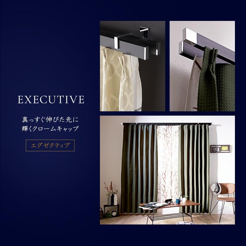 カーテンレール アイアンレール ADIUM エグゼクティブ ダブルブラケット 0.5〜1ｍまで H-N-0 | 友安製作所 | 04