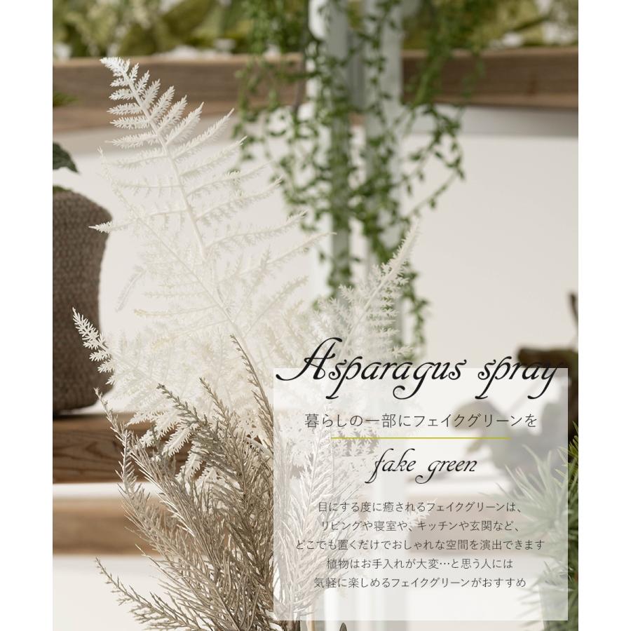 フェイクグリーン 人工 観葉植物 観葉樹 おしゃれ アスパラガス
