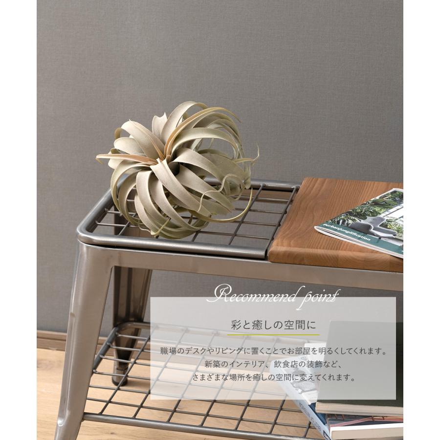 キセログラフィカ フェイクグリーン 造花 人工 観葉植物 リアル 卓上